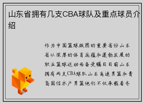 山东省拥有几支CBA球队及重点球员介绍